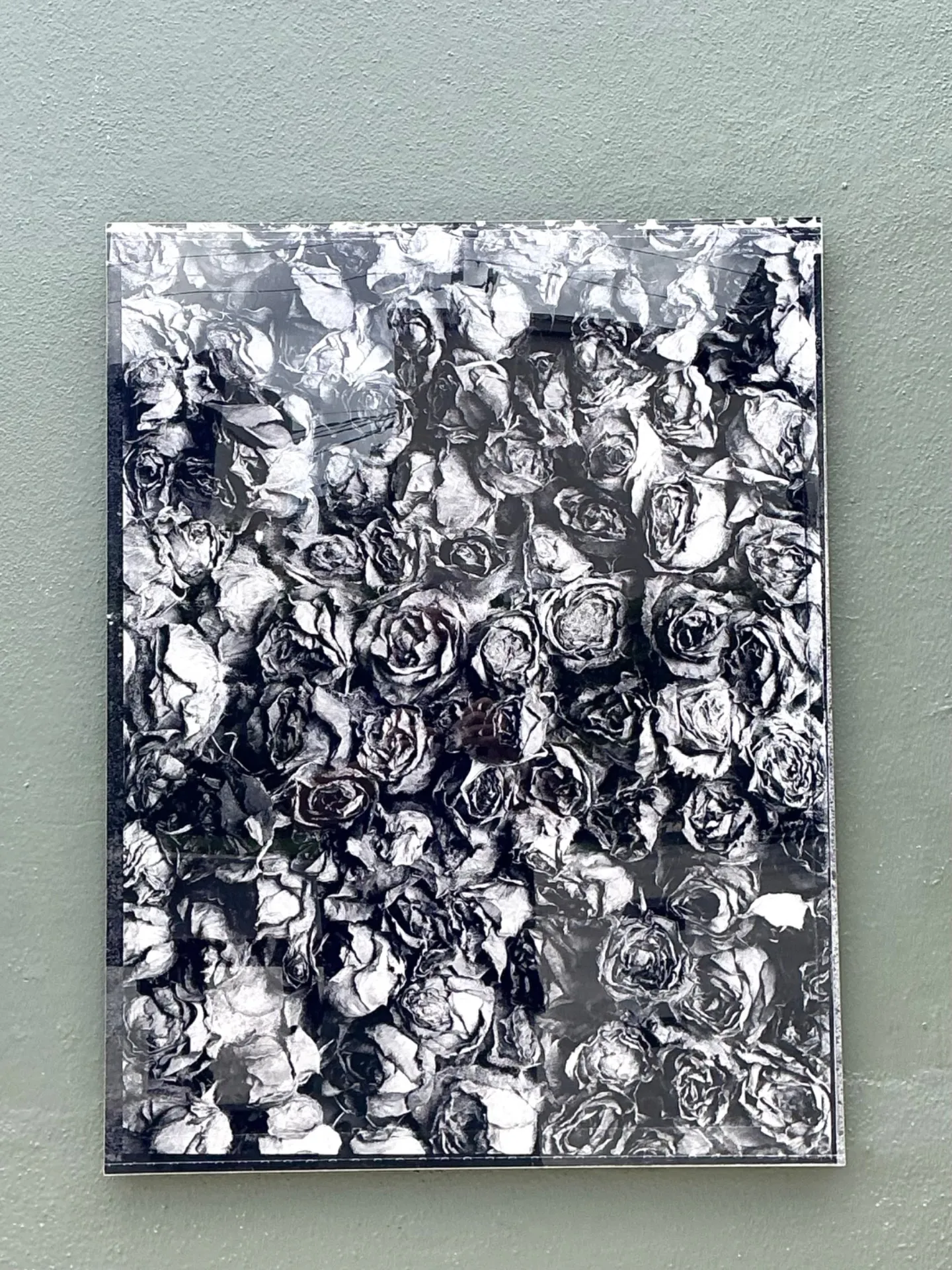 Vintage 1993 Mauricio Donelli “”A Thousand Of Roses” Photograph On Plexi — additional photo 4