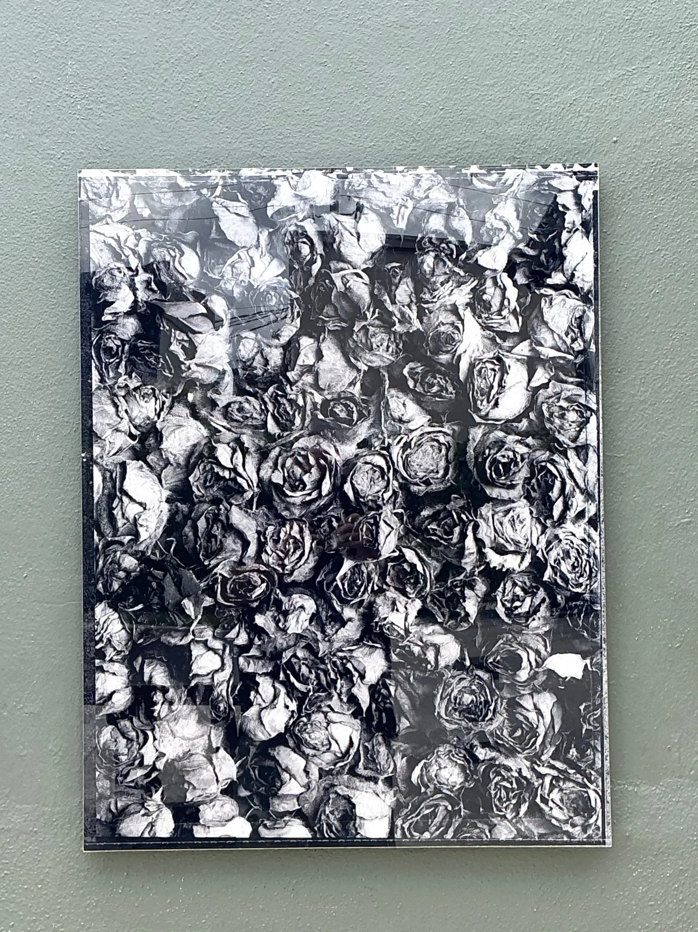 Vintage 1993 Mauricio Donelli “”A Thousand Of Roses” Photograph On Plexi — additional photo 5