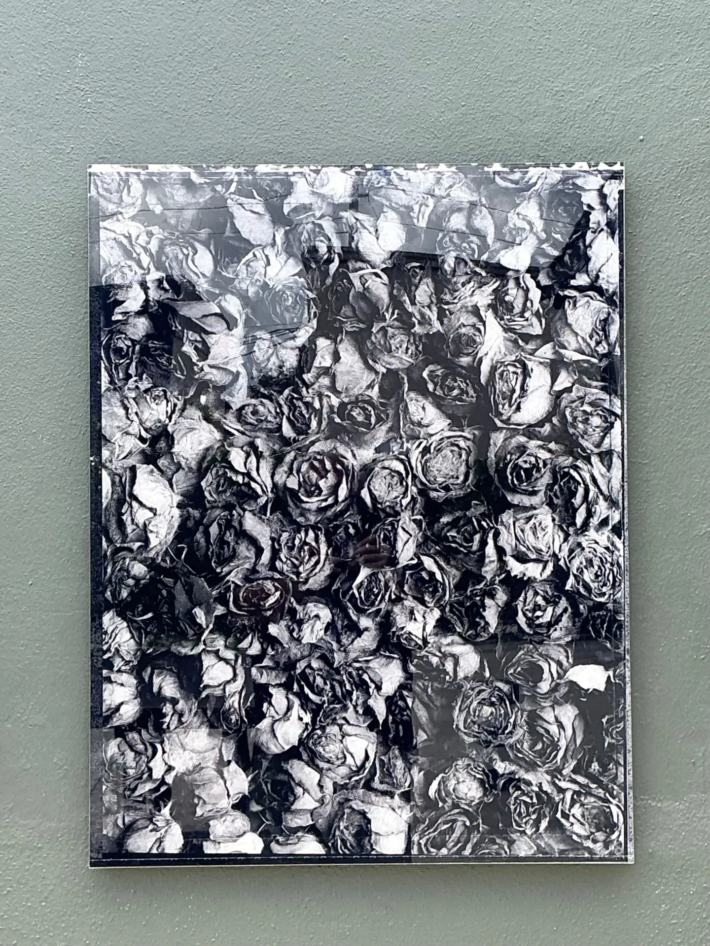 Vintage 1993 Mauricio Donelli “”A Thousand Of Roses” Photograph On Plexi — additional photo 6