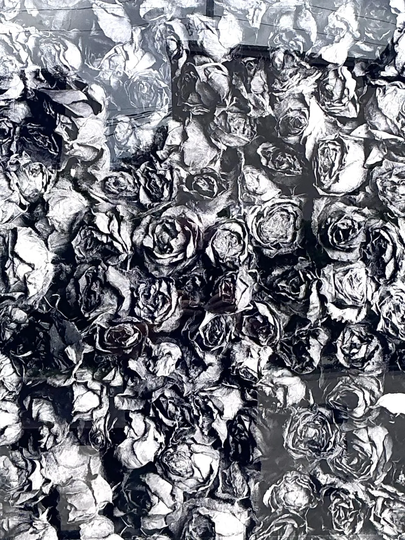 Vintage 1993 Mauricio Donelli “”A Thousand Of Roses” Photograph On Plexi — additional photo 1