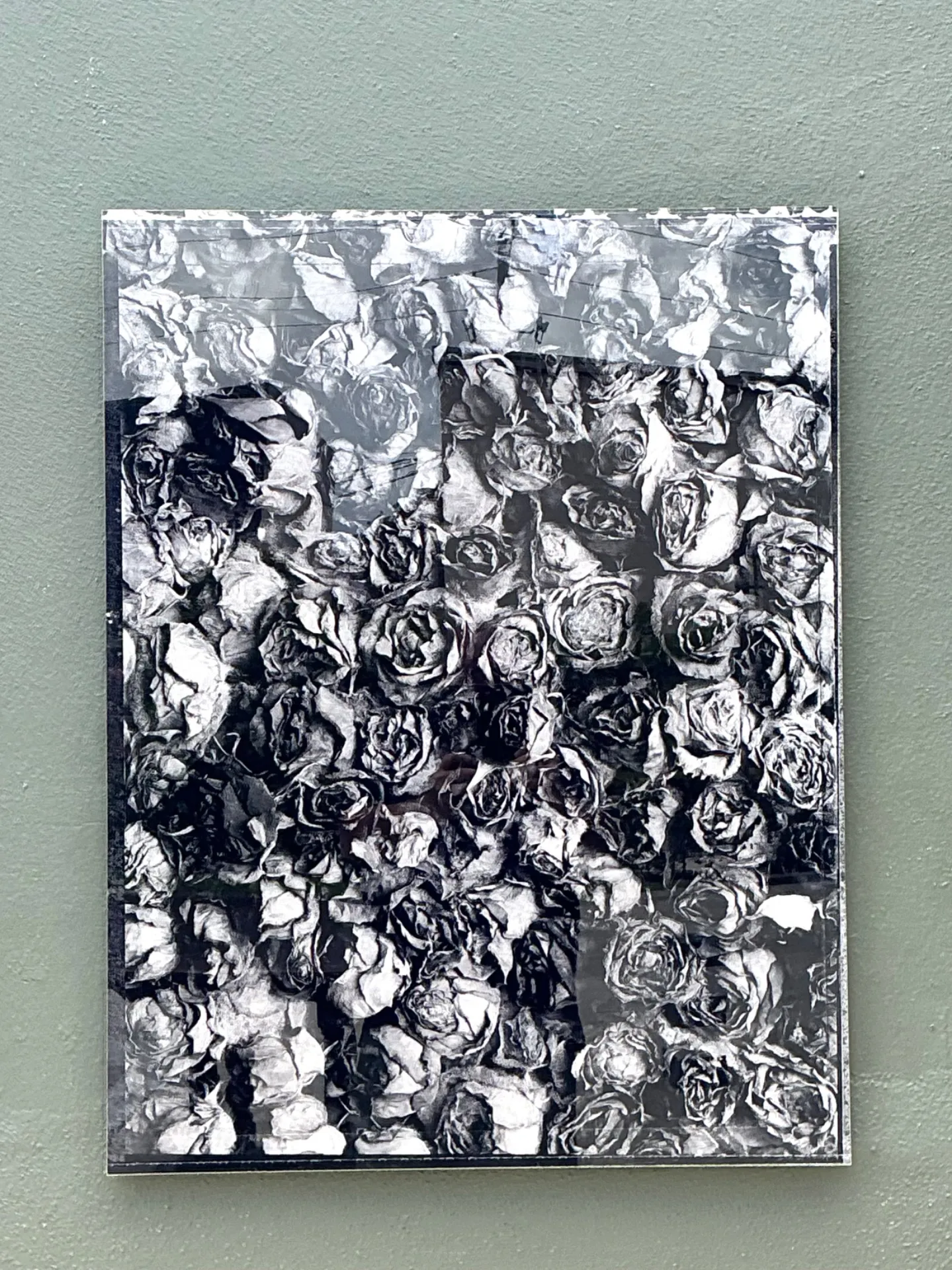Vintage 1993 Mauricio Donelli “”A Thousand Of Roses” Photograph On Plexi — additional photo 3