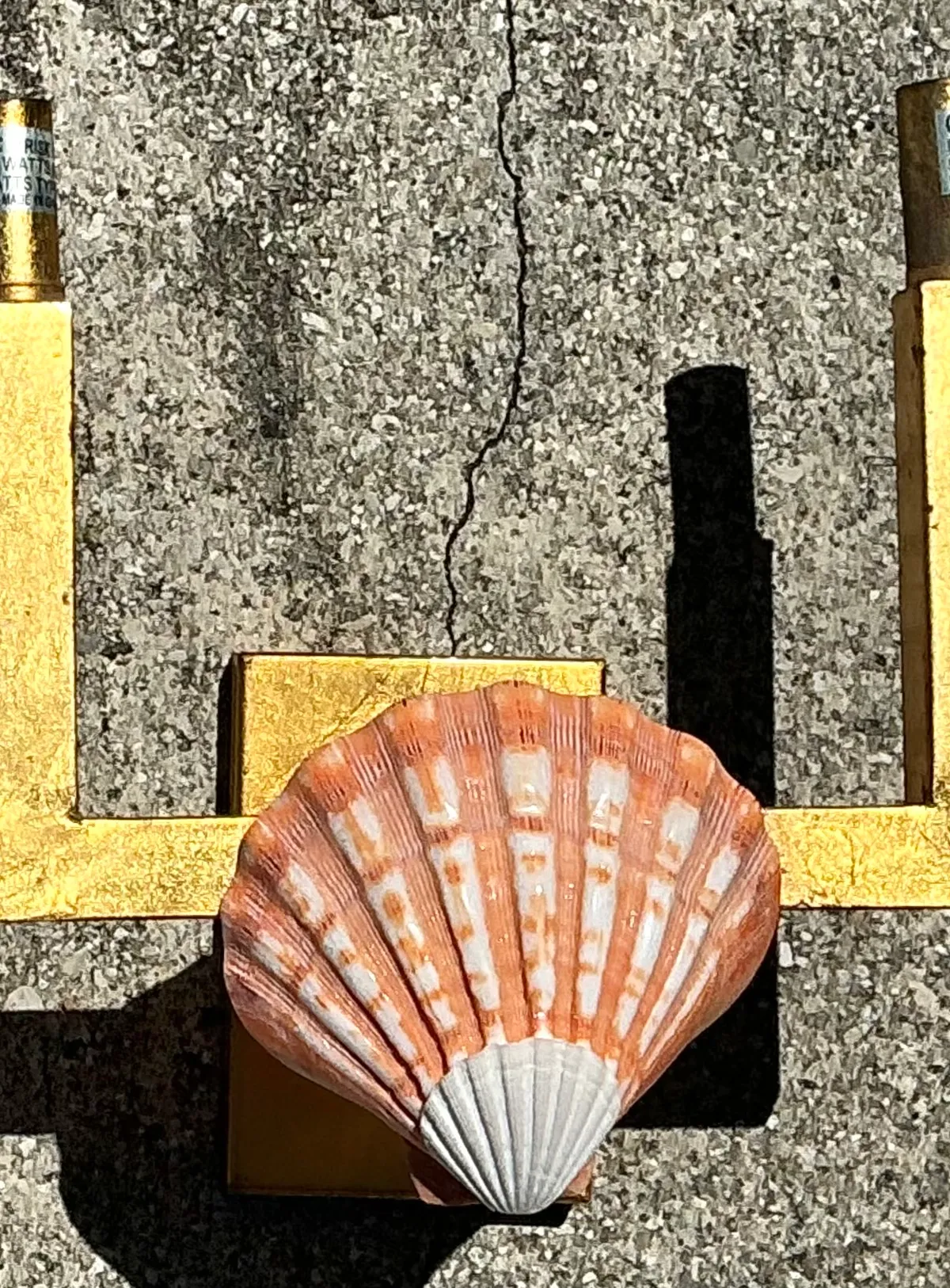 Vintage Shell and Metal Wall Sconces — additional photo 3