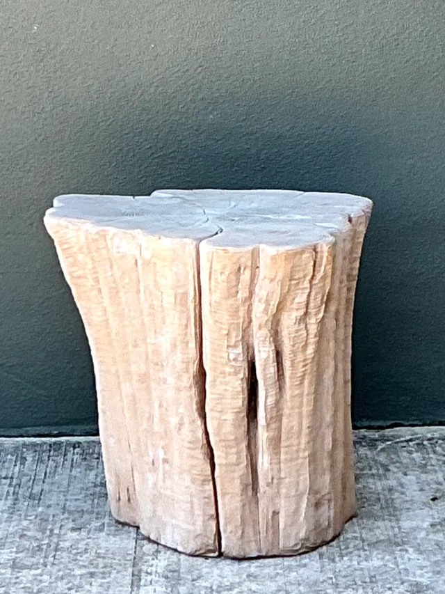 Vintage Natural Wood Stump Accent Table — additional photo 7
