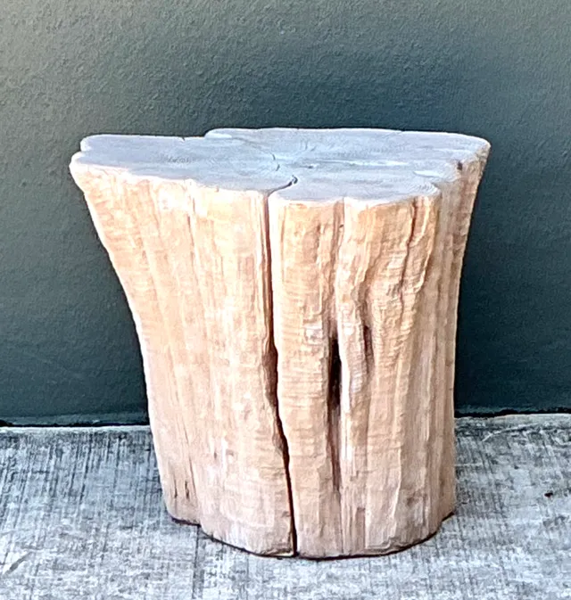 Vintage Natural Wood Stump Accent Table — additional photo 6
