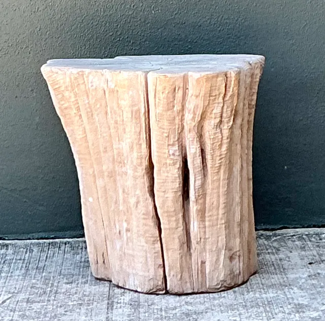 Vintage Natural Wood Stump Accent Table — additional photo 5