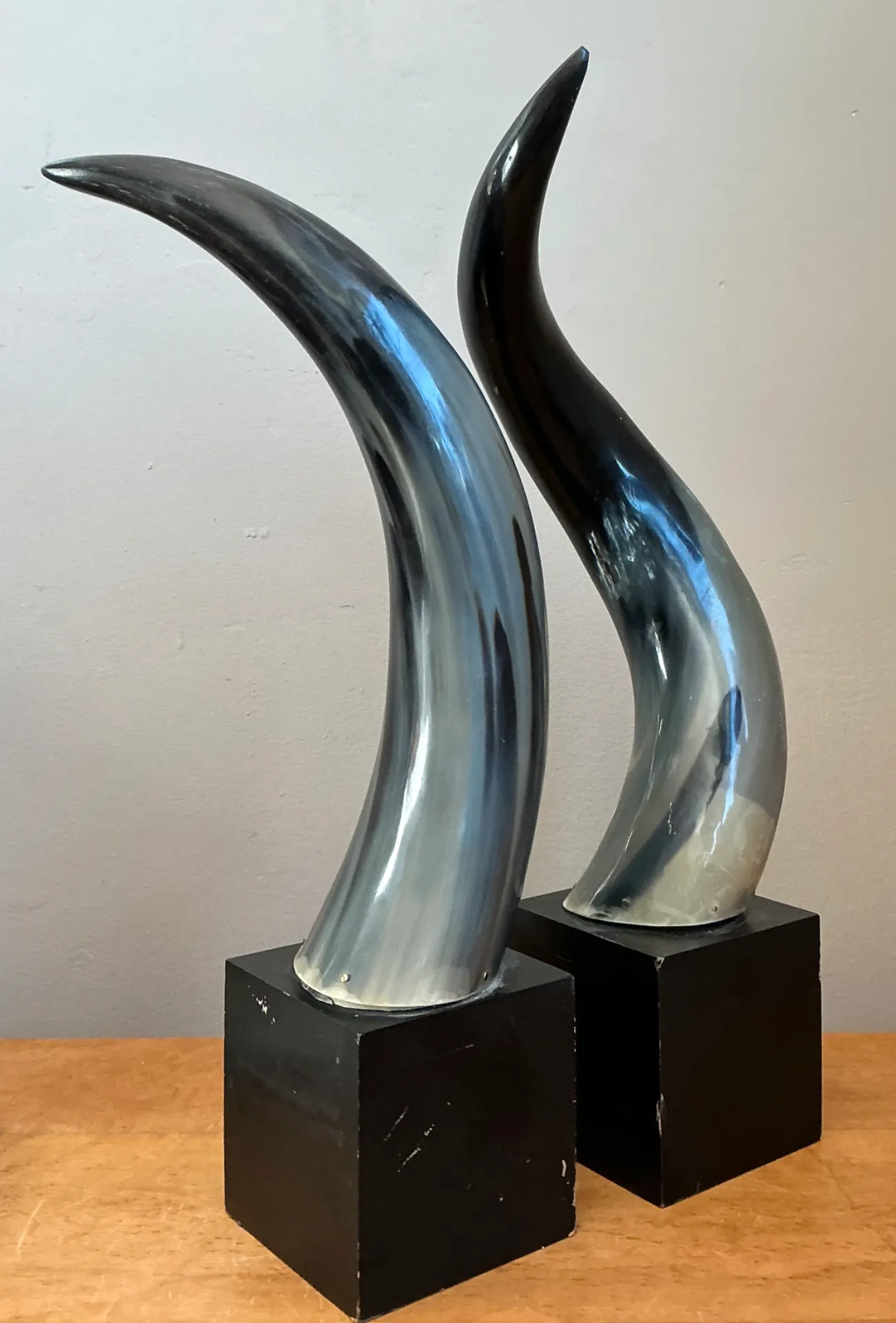 Vintage Decorative Horns On Wood Plinths — additional photo 6