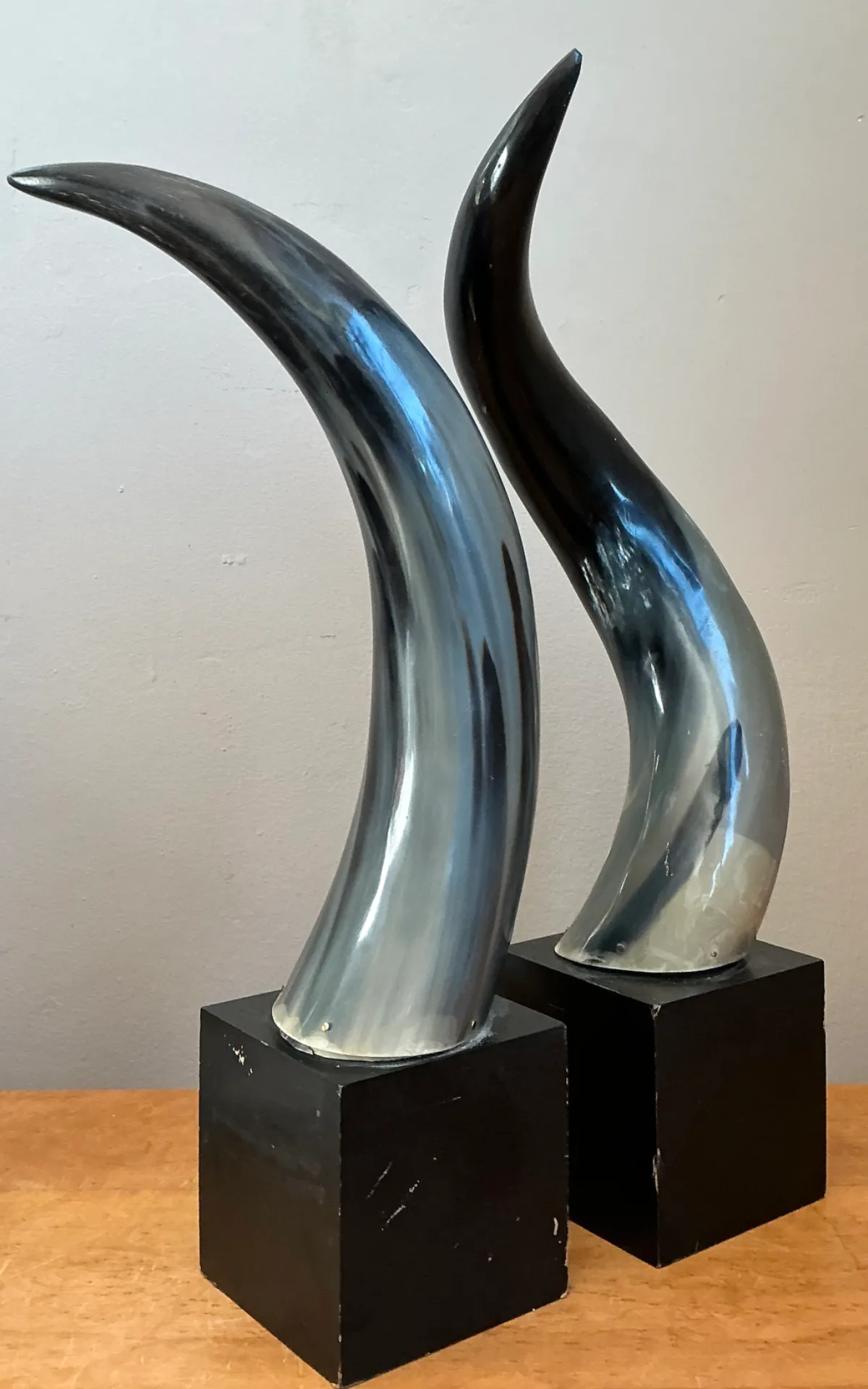 Vintage Decorative Horns On Wood Plinths — additional photo 6