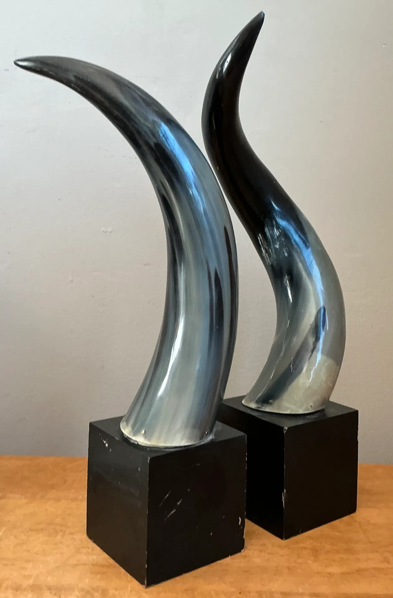 Vintage Decorative Horns On Wood Plinths — additional photo 8