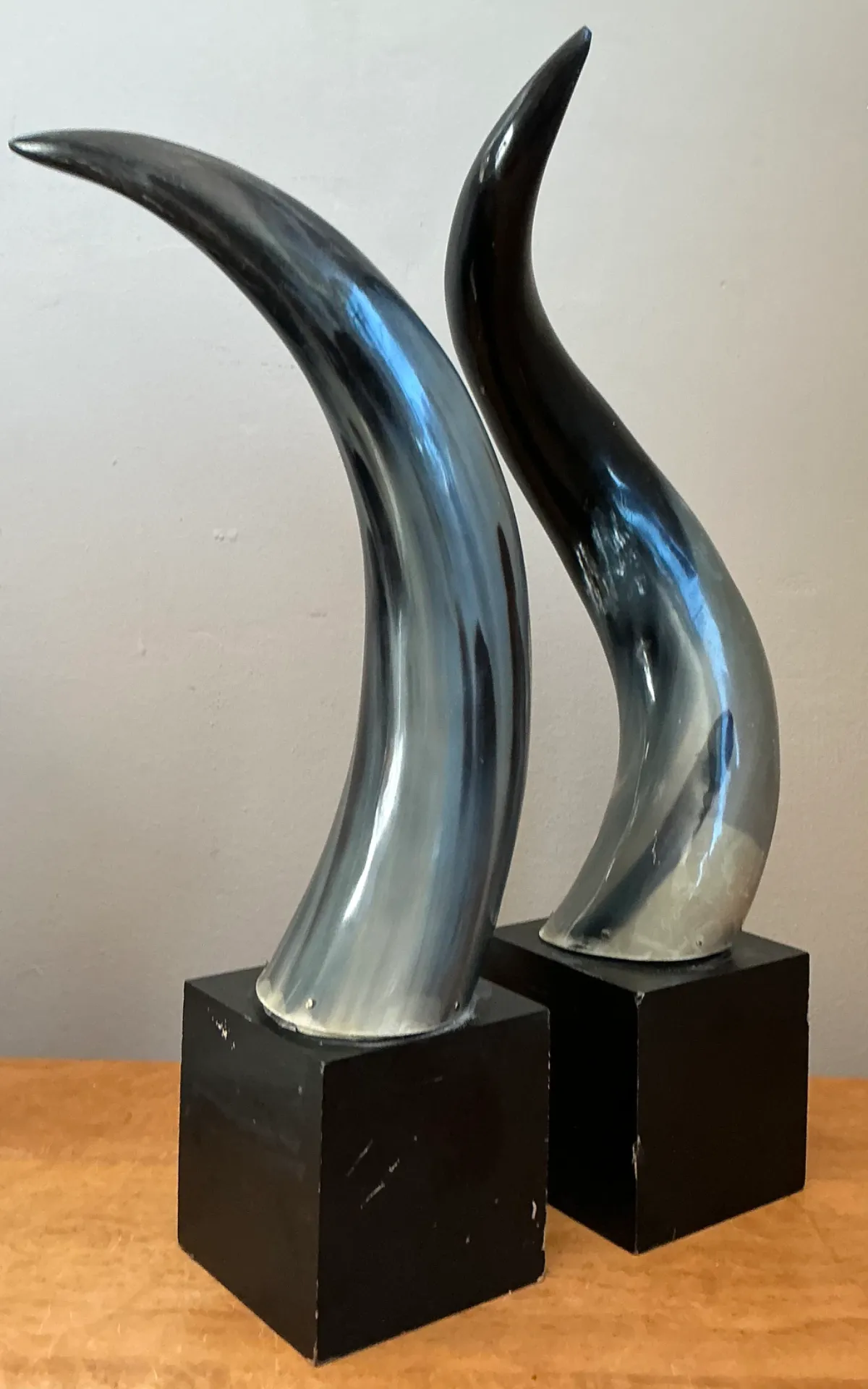 Vintage Decorative Horns On Wood Plinths — additional photo 8