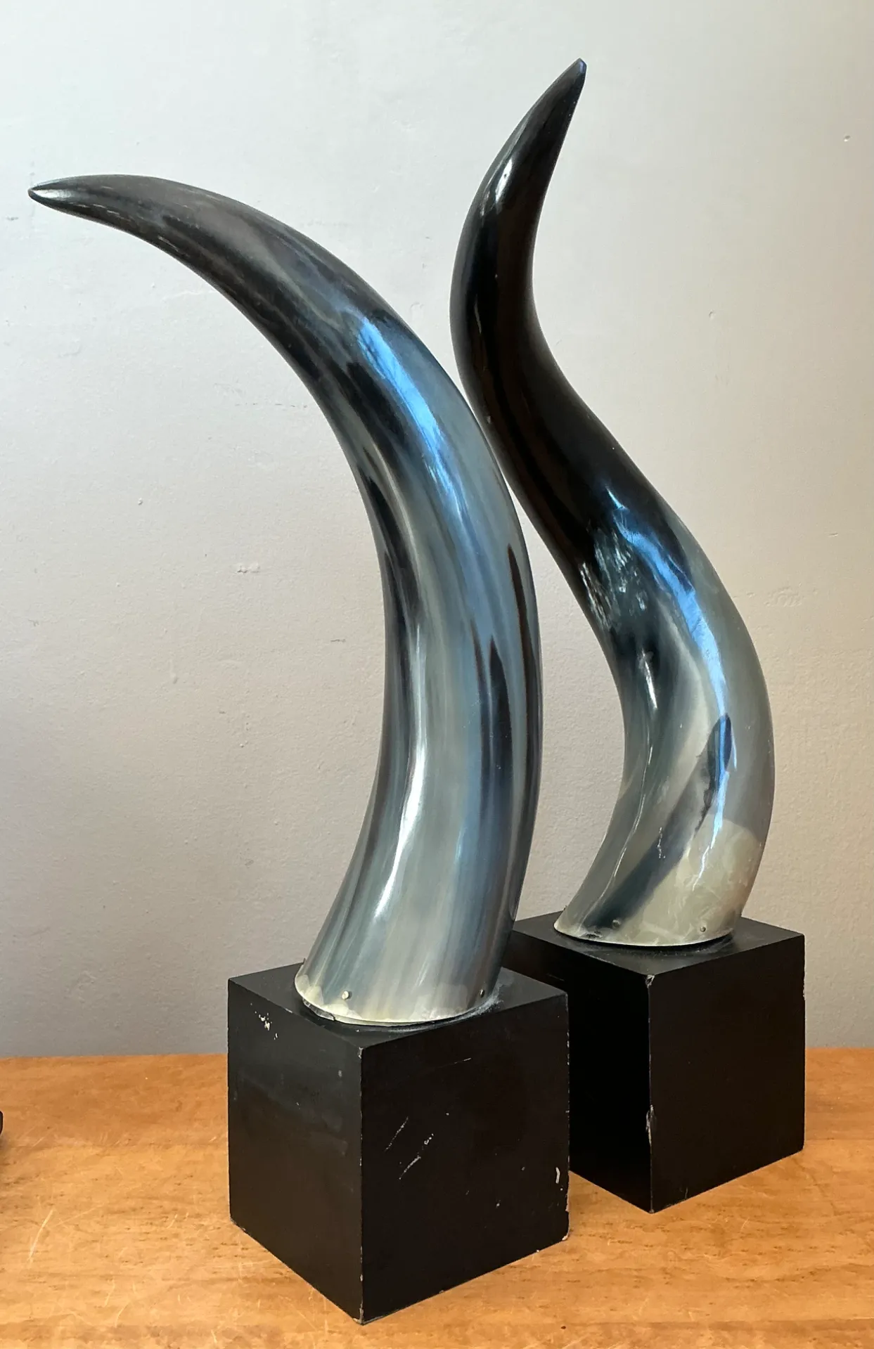 Vintage Decorative Horns On Wood Plinths — additional photo 4