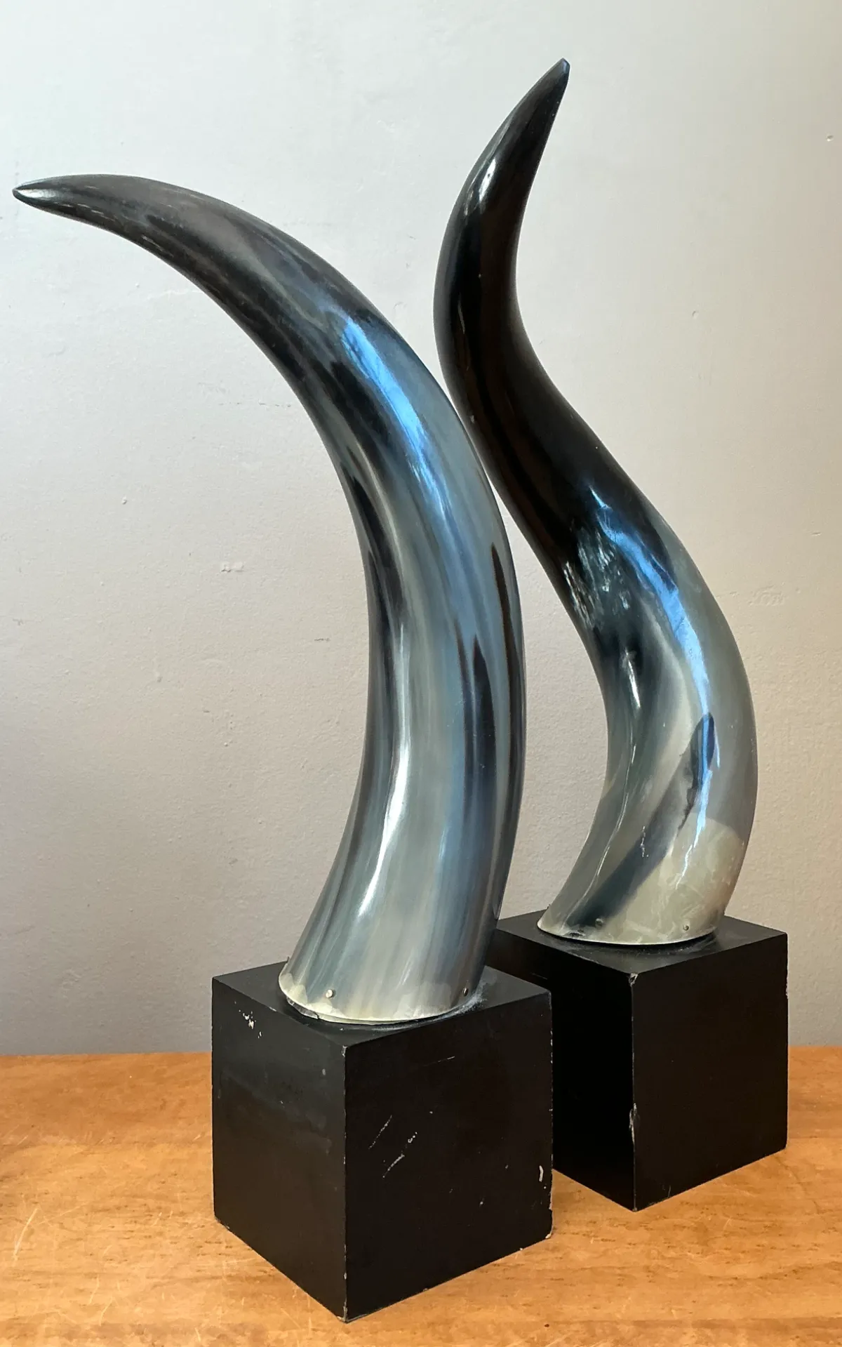 Vintage Decorative Horns On Wood Plinths — additional photo 4