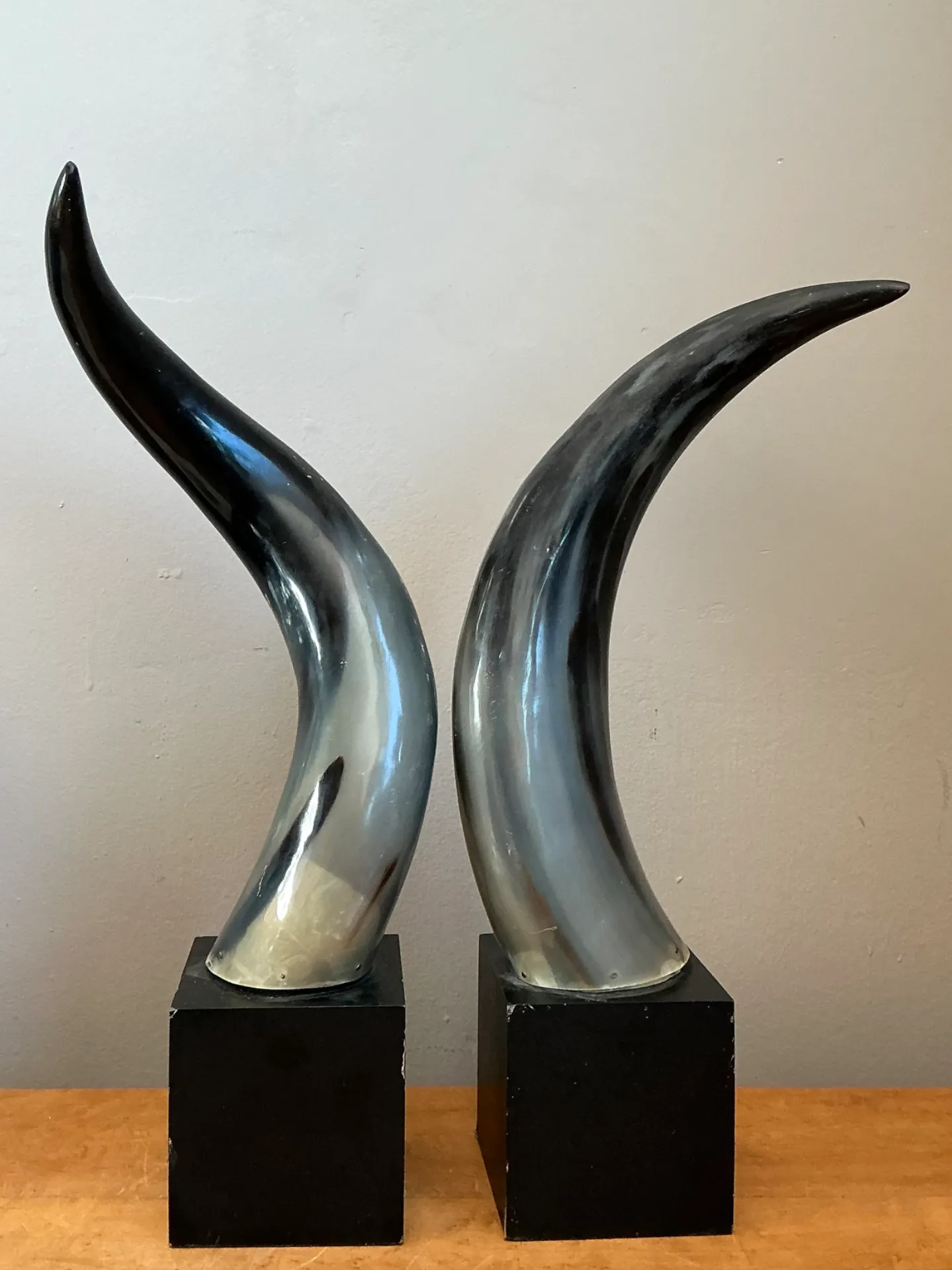 Vintage Decorative Horns On Wood Plinths — additional photo 2