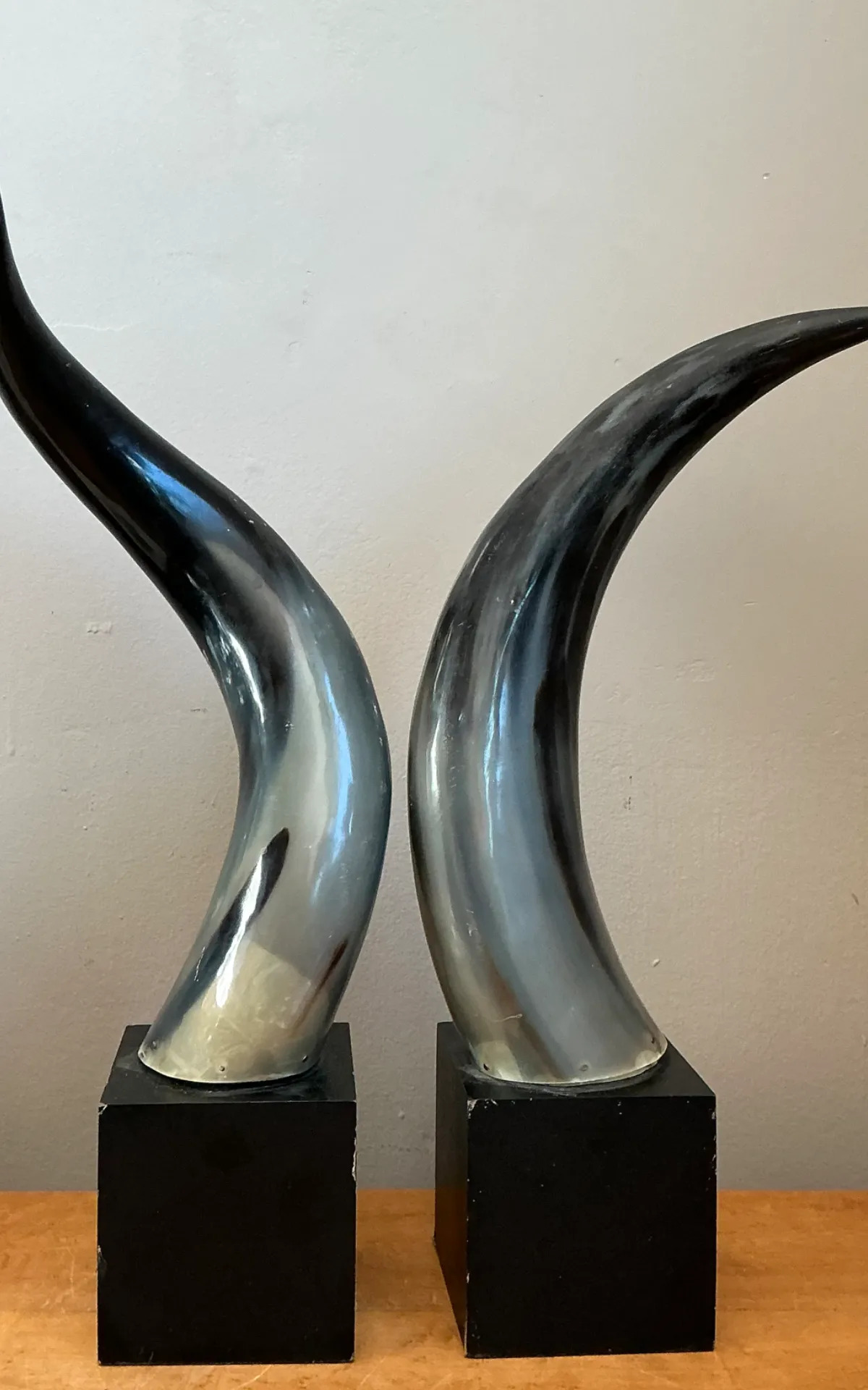 Vintage Decorative Horns On Wood Plinths — additional photo 2