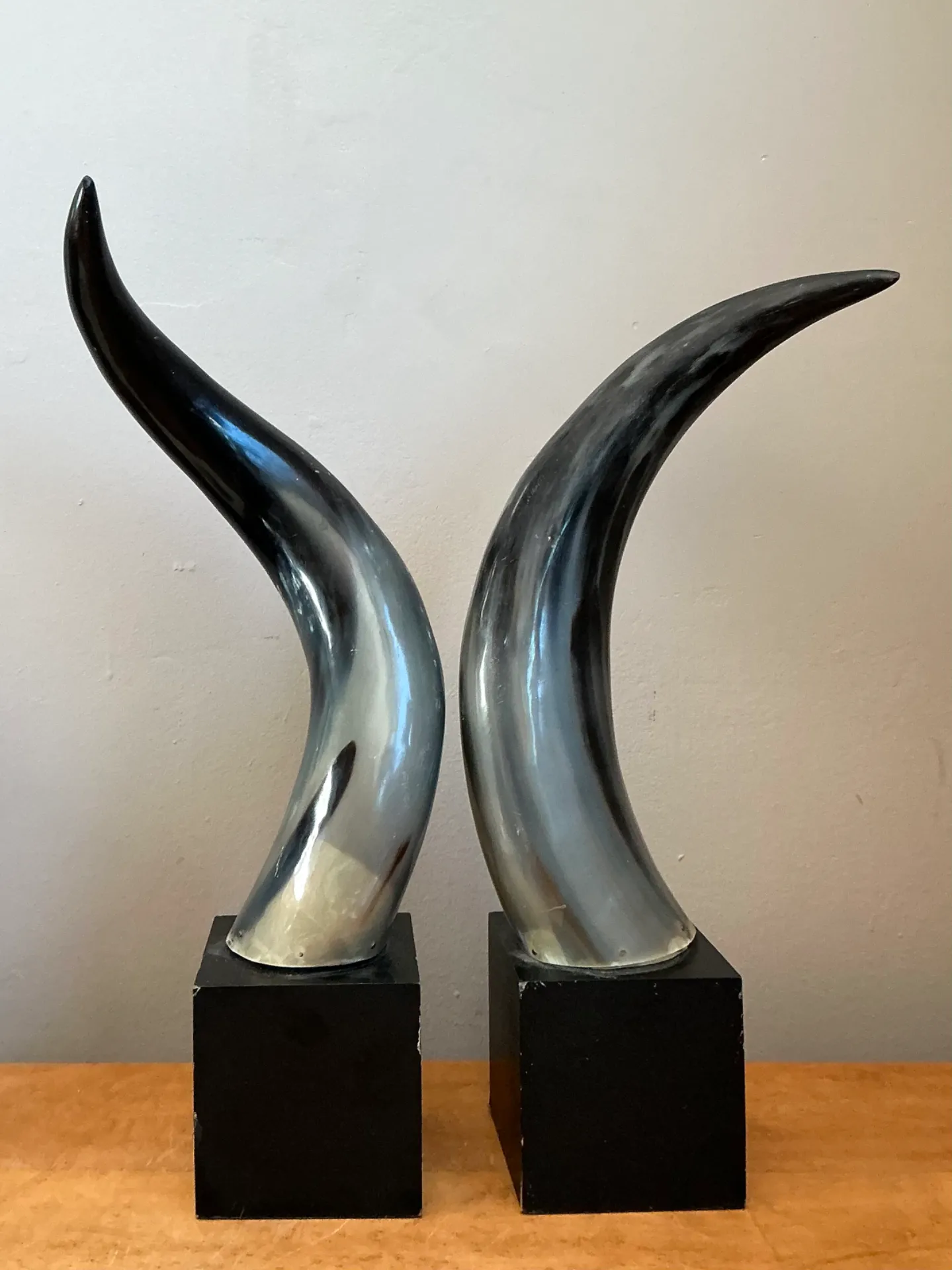 Vintage Decorative Horns On Wood Plinths — additional photo 5