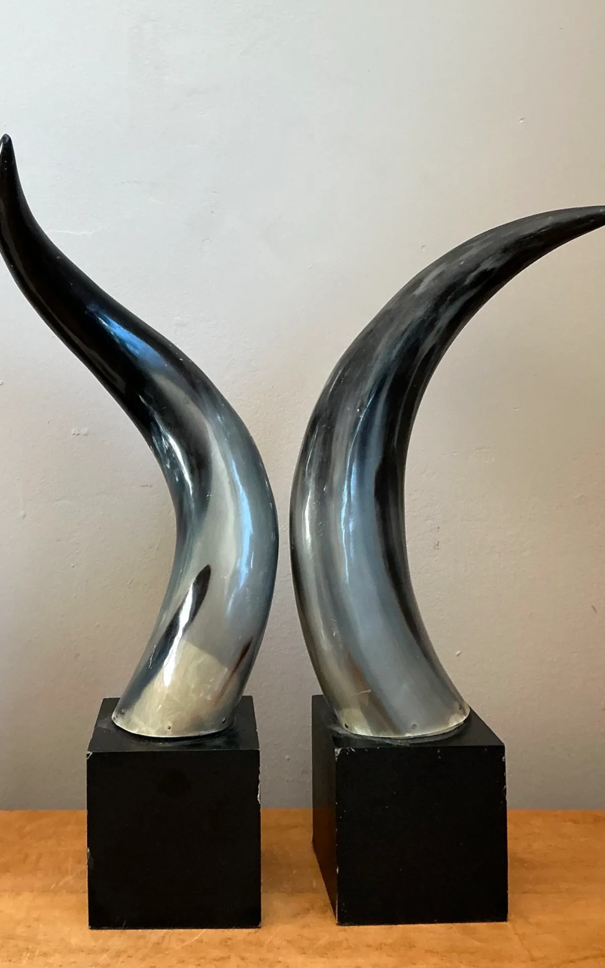 Vintage Decorative Horns On Wood Plinths — additional photo 5