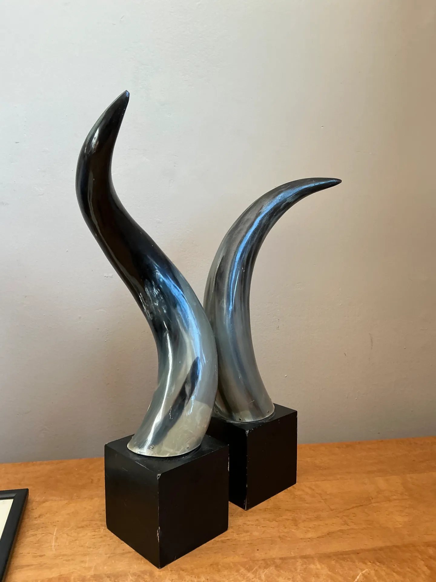 Vintage Decorative Horns On Wood Plinths — additional photo 7