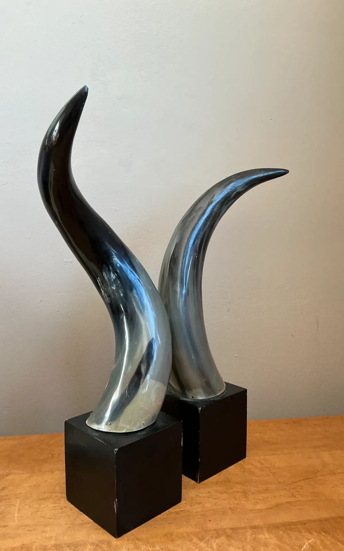 Vintage Decorative Horns On Wood Plinths — additional photo 7