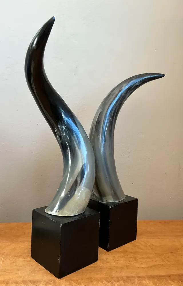 Vintage Decorative Horns On Wood Plinths — additional photo 3