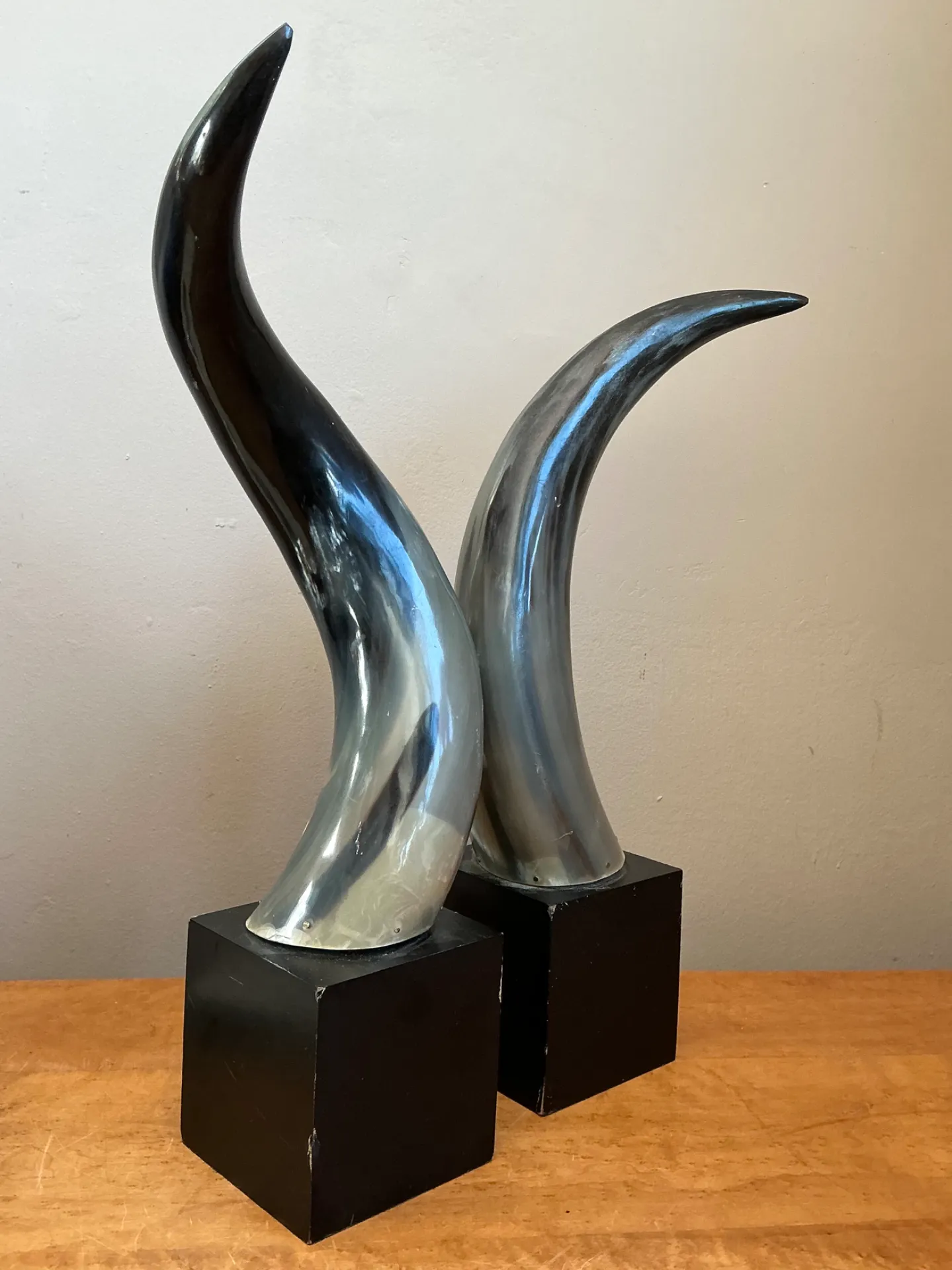 Vintage Decorative Horns On Wood Plinths — additional photo 1