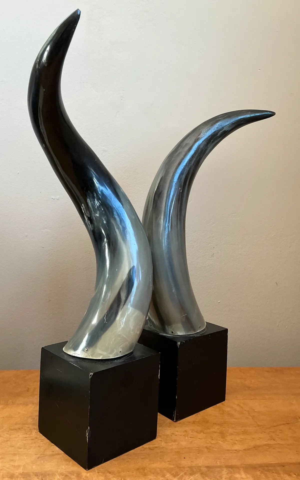 Vintage Decorative Horns On Wood Plinths