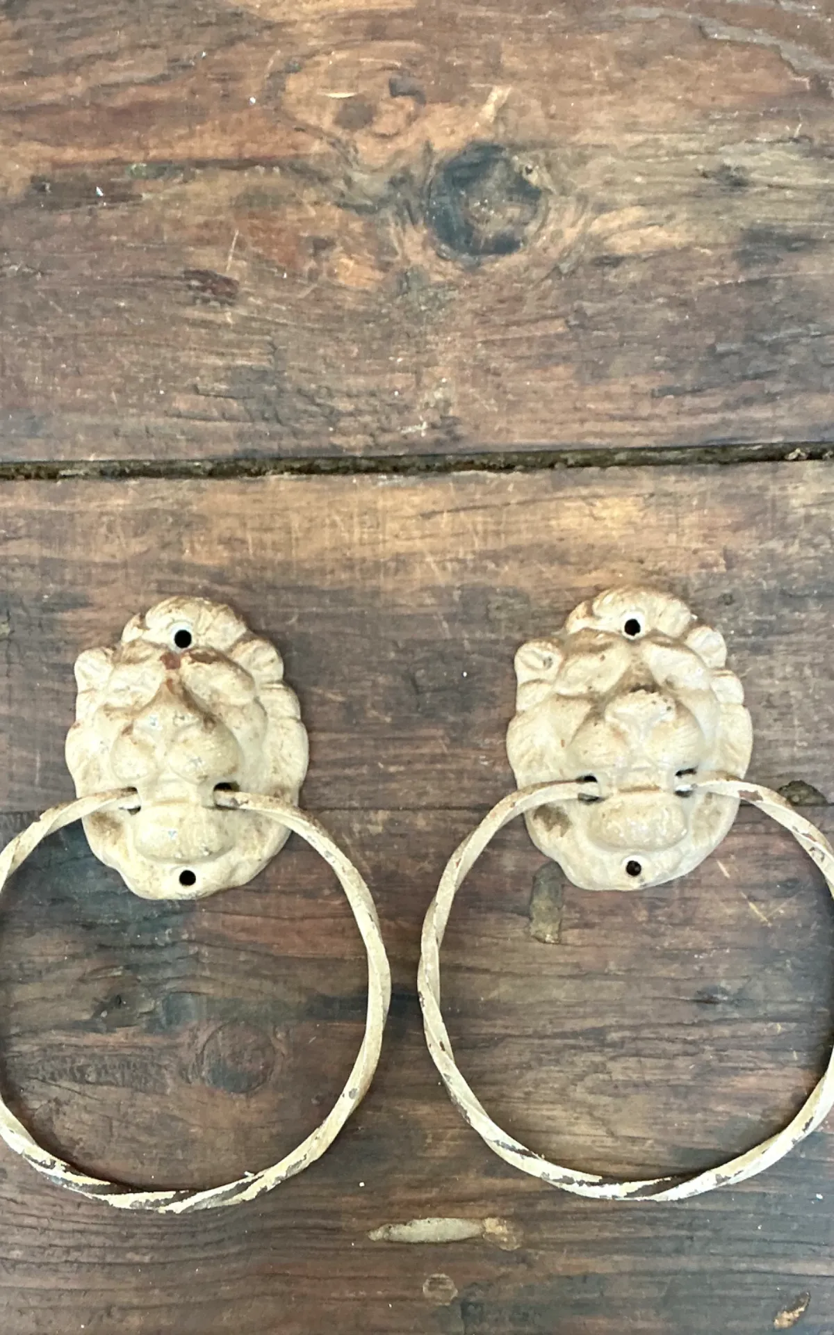 Vintage Lion Head Wall Mounted Towel Holders — additional photo 6