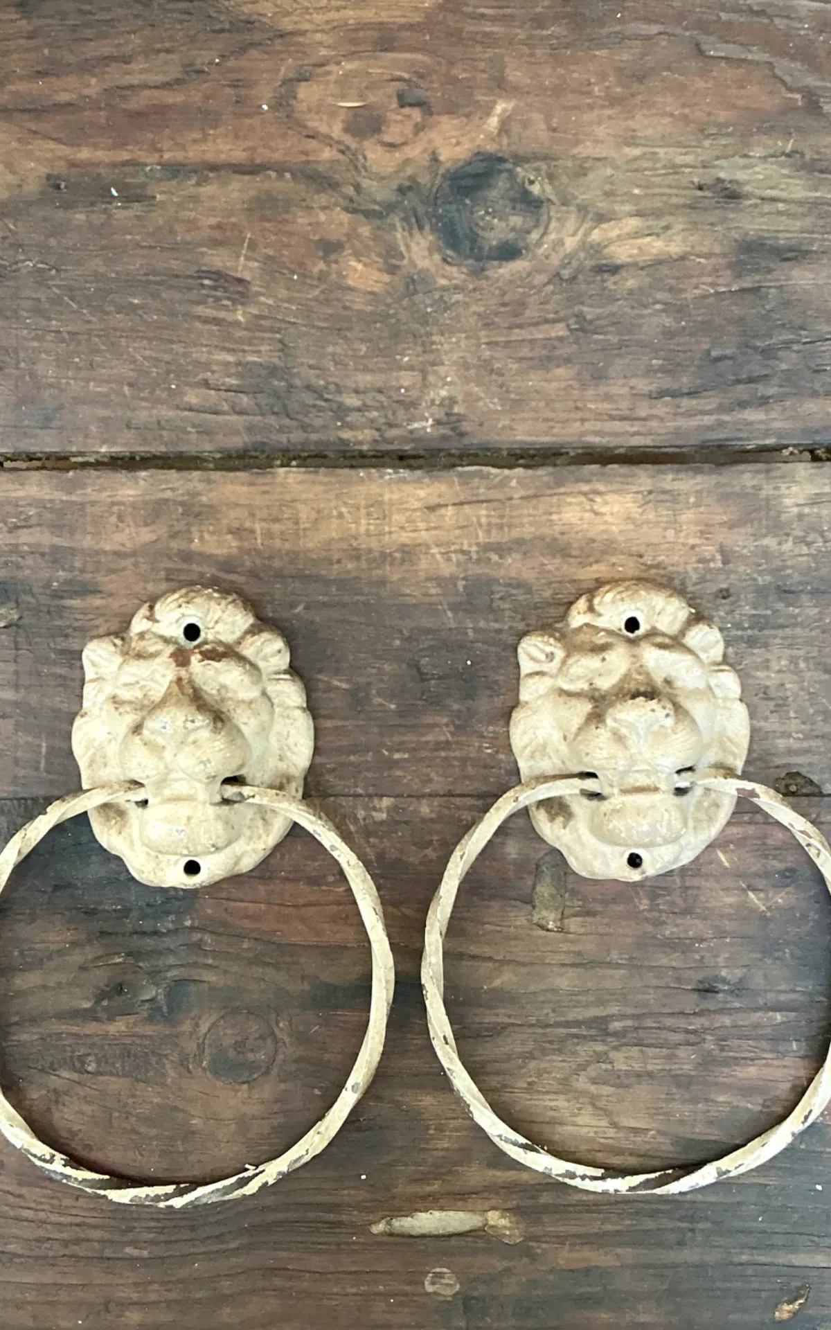 Vintage Lion Head Wall Mounted Towel Holders — additional photo 5