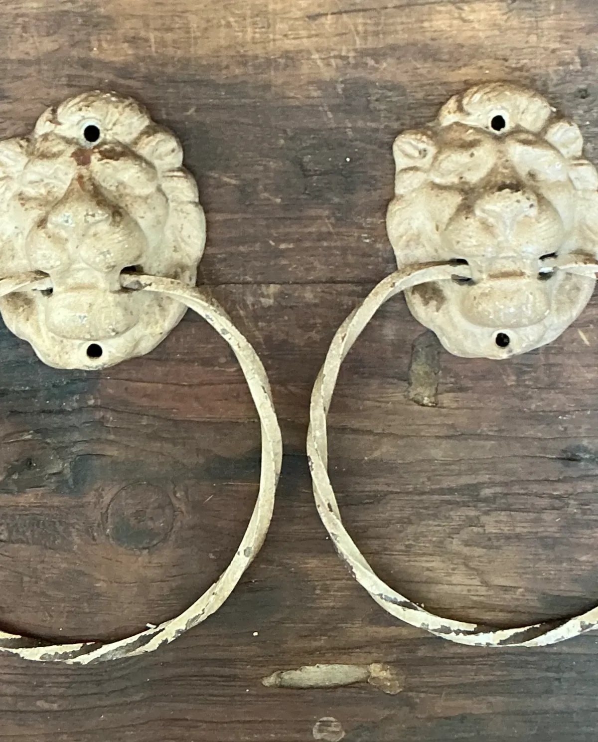 Vintage Lion Head Wall Mounted Towel Holders — additional photo 8