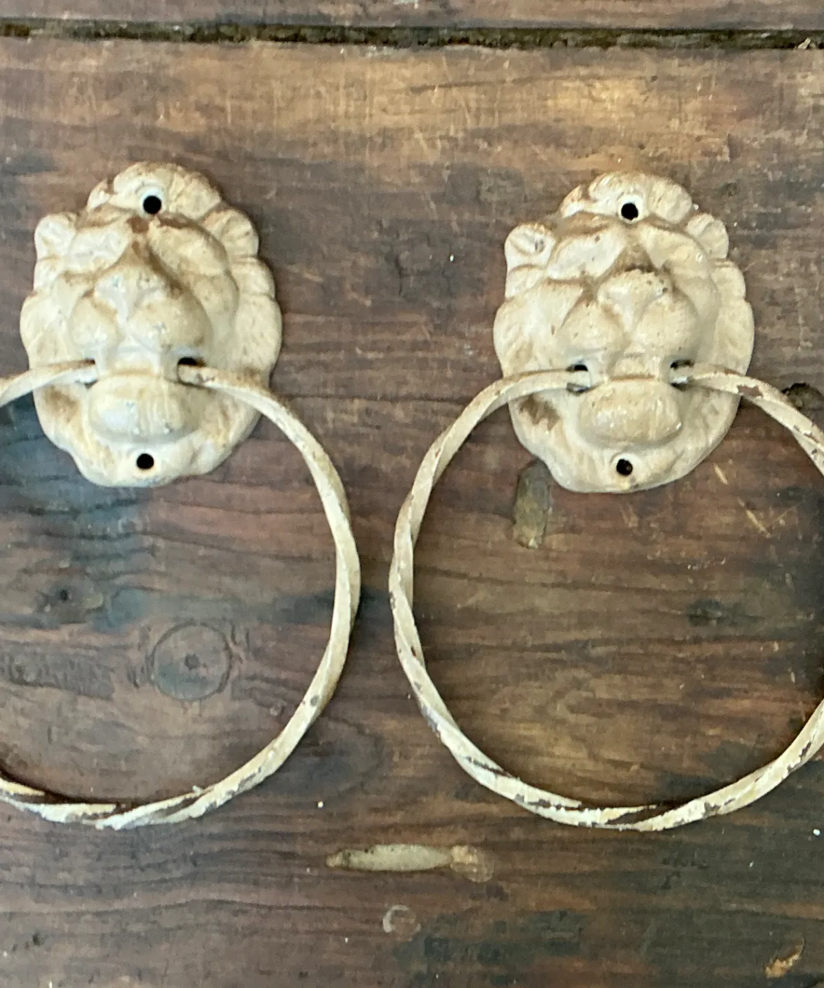 Vintage Lion Head Wall Mounted Towel Holders — additional photo 3