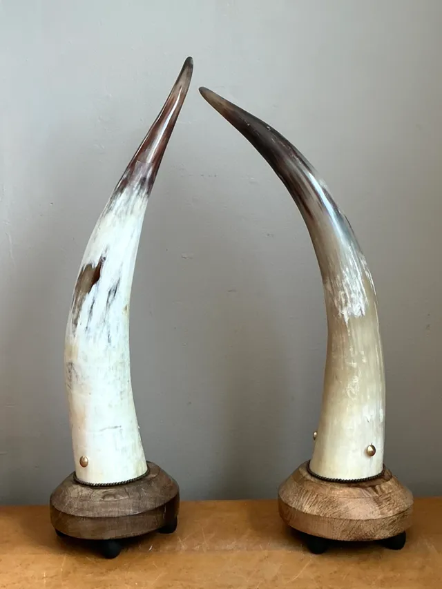 Vintage Horn and Wood Accent Lamps - Pair — additional photo 3