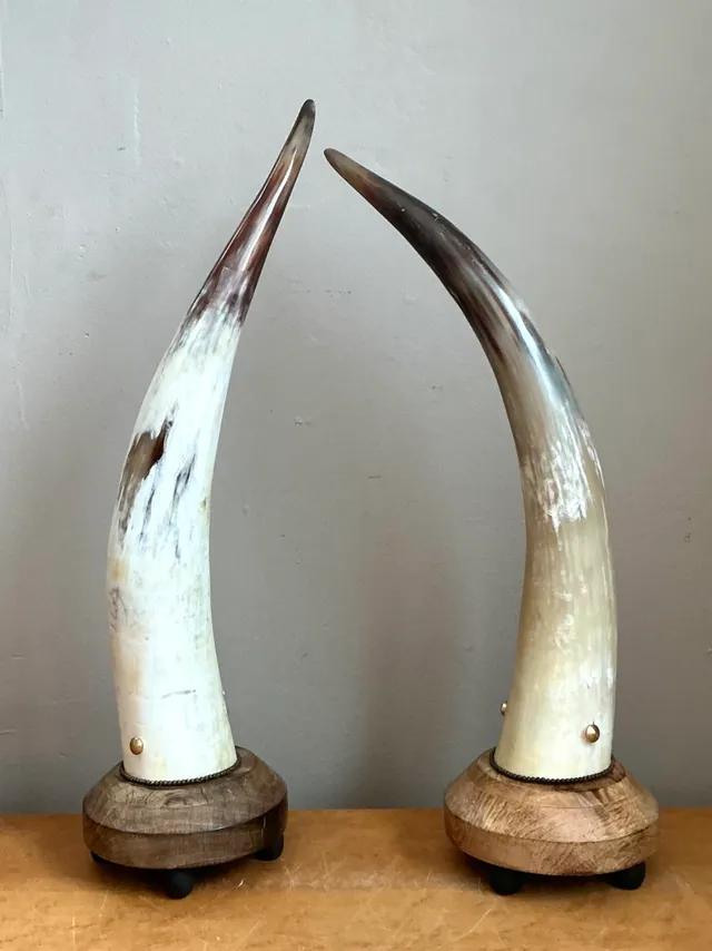 Vintage Horn and Wood Accent Lamps - Pair — additional photo 1