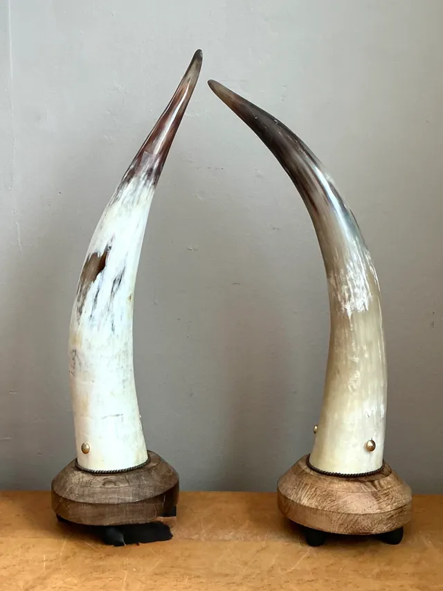 Vintage Horn and Wood Accent Lamps - Pair — additional photo 7