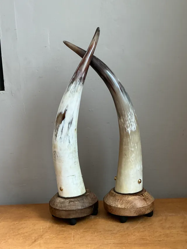 Vintage Horn and Wood Accent Lamps - Pair — additional photo 4