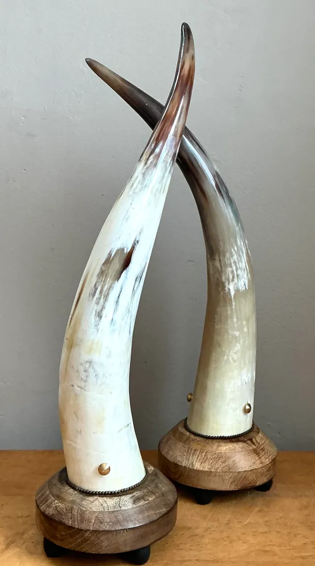 Vintage Horn and Wood Accent Lamps - Pair — additional photo 8