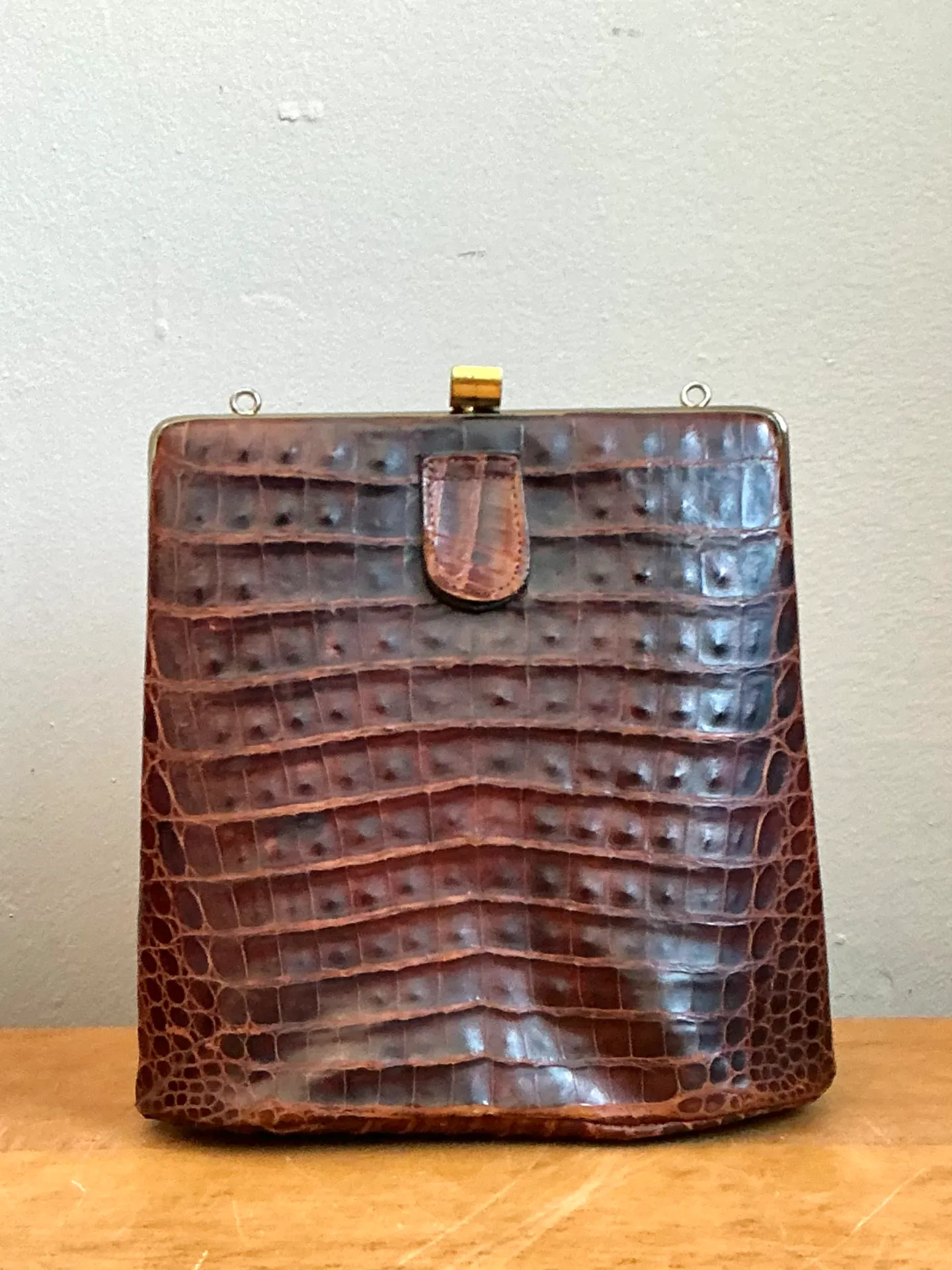 Vintage Crocodile Metal Frame Handbag — additional photo 4
