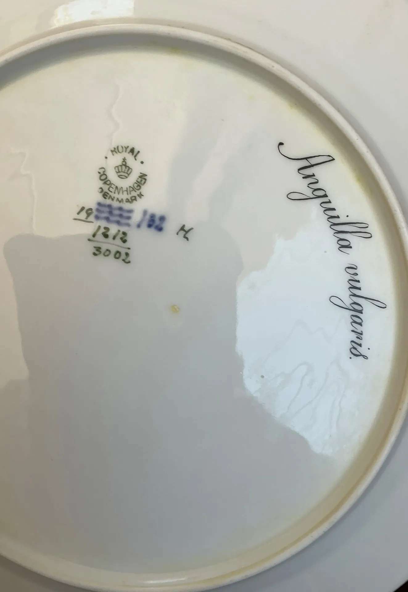 Vintage Royal Copenhagen Ichthyological Porcelain Plates - Set of 12 — additional photo 3