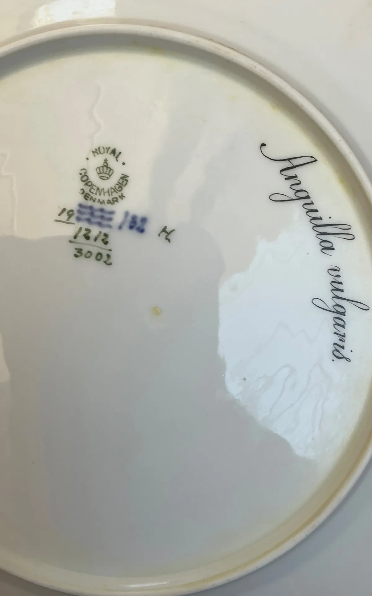 Vintage Royal Copenhagen Ichthyological Porcelain Plates - Set of 12 — additional photo 3