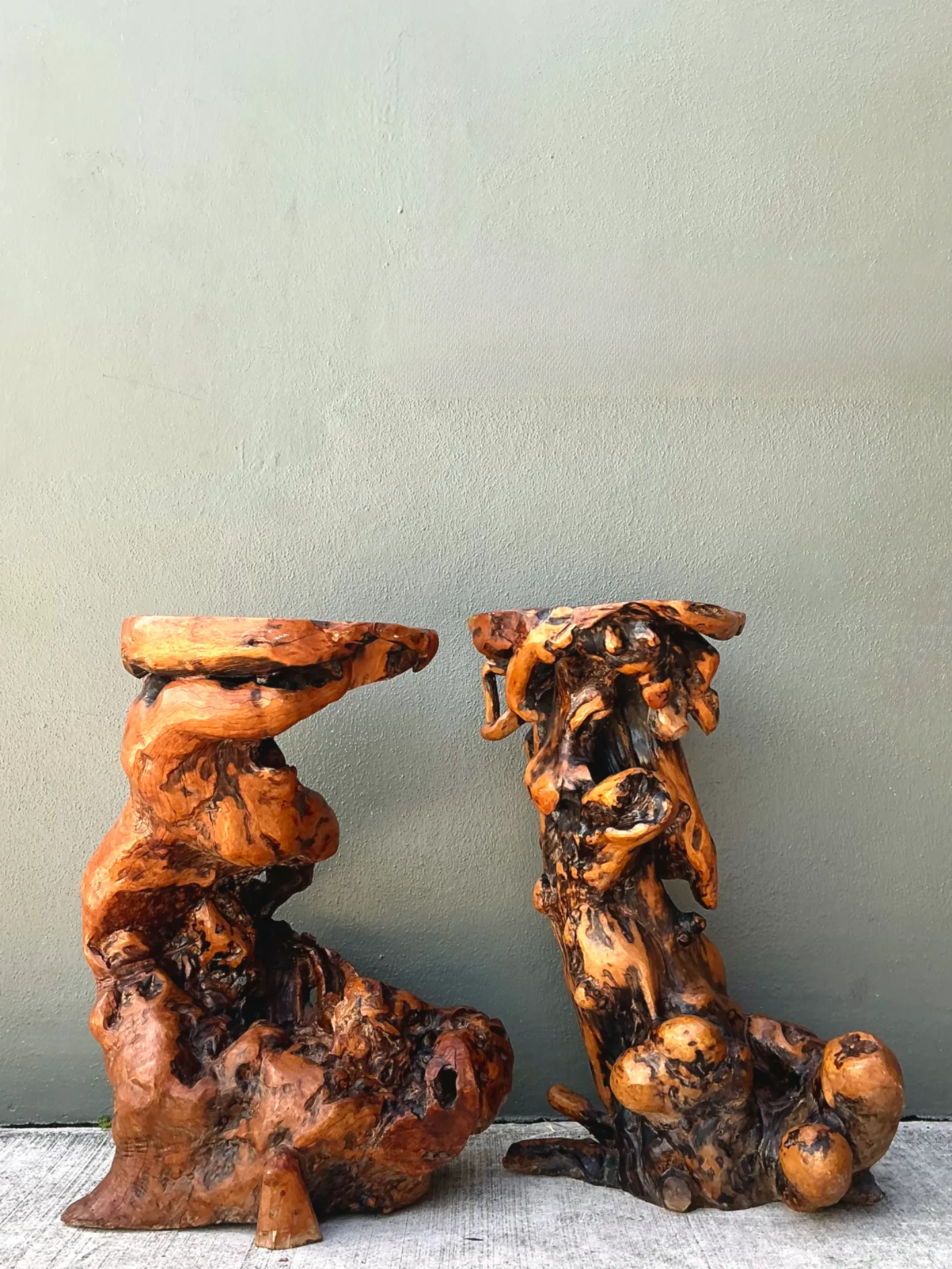 Vintage Japanese Twisted Root Pedestals - Set Of Two — additional photo 8