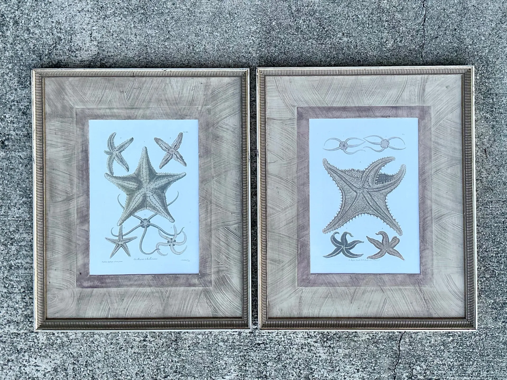Vintage John Richard Coastal Prints - Set Of 2  — additional photo 2