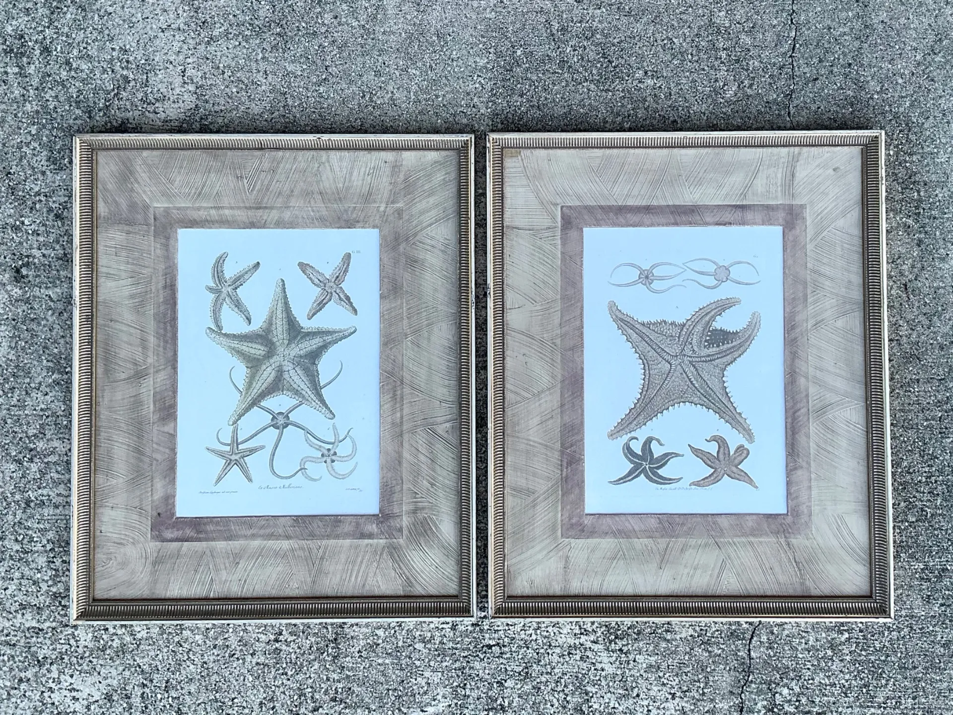 Vintage John Richard Coastal Prints - Set Of 2  — additional photo 4