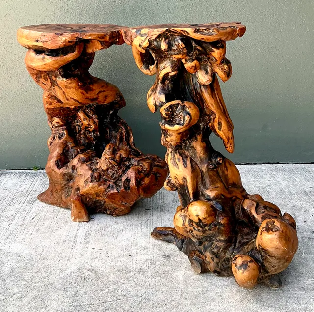 Vintage Japanese Twisted Root Pedestals - Set Of Two — additional photo 1