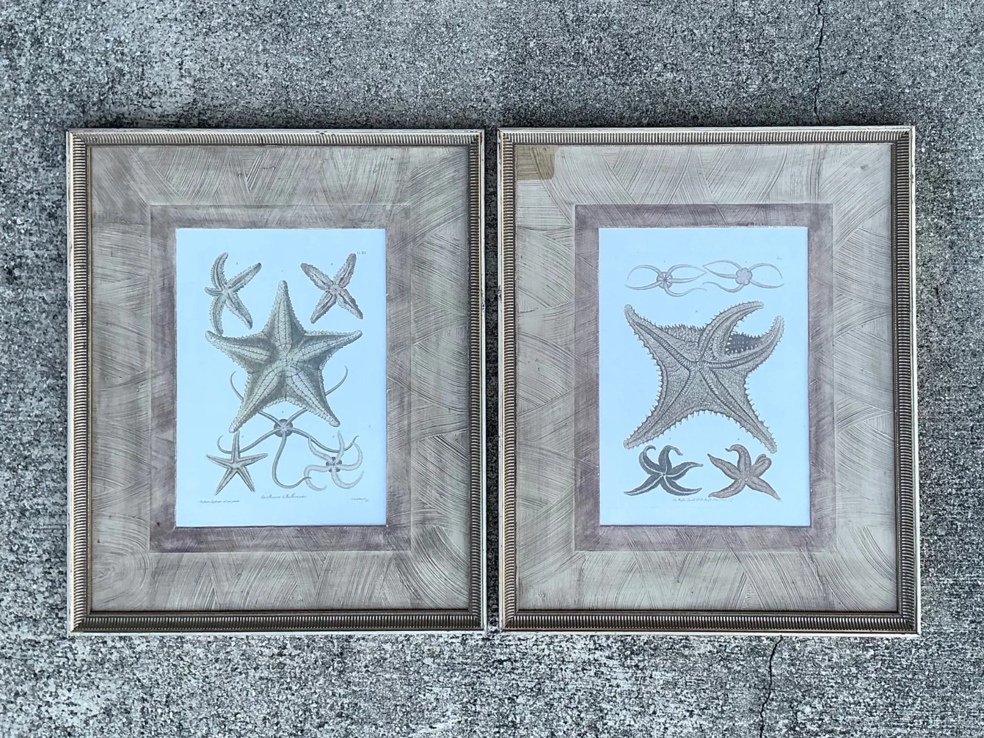 Vintage John Richard Coastal Prints - Set Of 2  — additional photo 6
