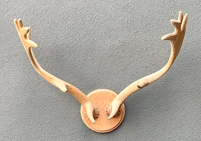 Vintage Carved Wood Antler Wall Mount — additional photo 7