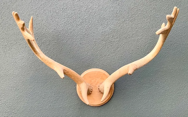Vintage Carved Wood Antler Wall Mount — additional photo 4