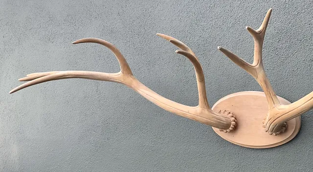 Vintage Carved Wood Antler Wall Mount — additional photo 1