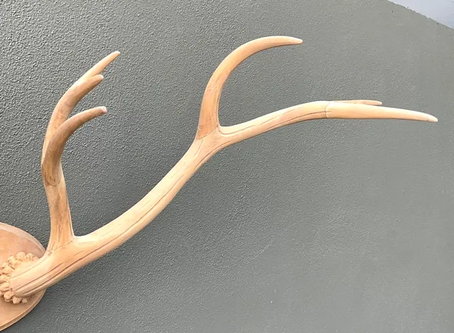 Vintage Carved Wood Antler Wall Mount — additional photo 4