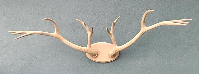 Vintage Carved Wood Antler Wall Mount — additional photo 5