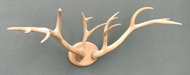 Vintage Carved Wood Antler Wall Mount — additional photo 3