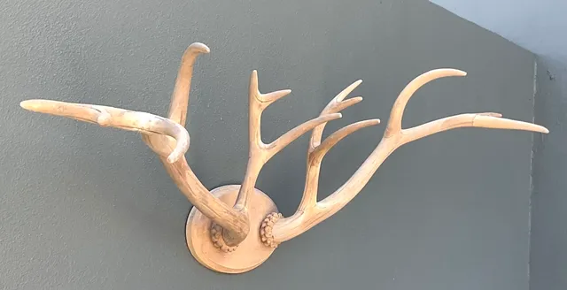 Vintage Carved Wood Antler Wall Mount — additional photo 6