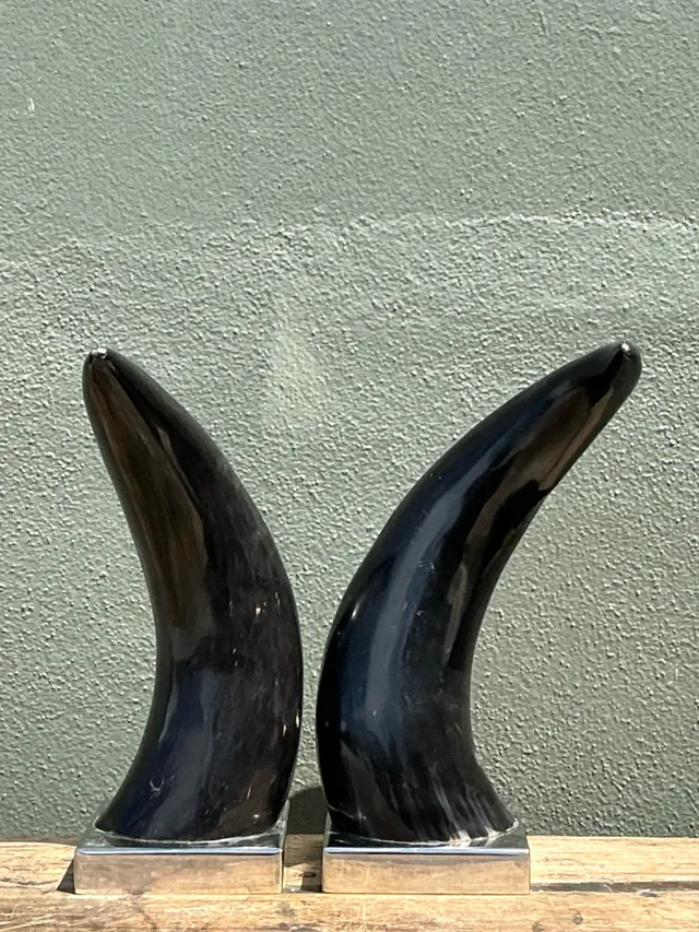 Vintage Natural Horns On Chrome Plinths - A Pair — additional photo 2