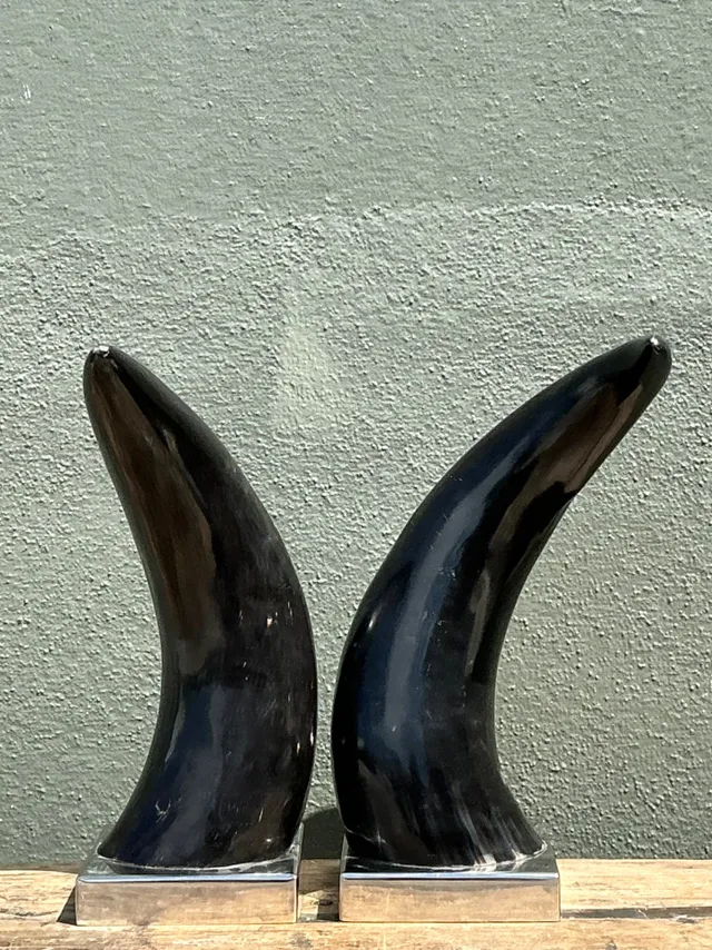 Vintage Natural Horns On Chrome Plinths - A Pair — additional photo 6